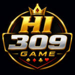 HI 309 Game